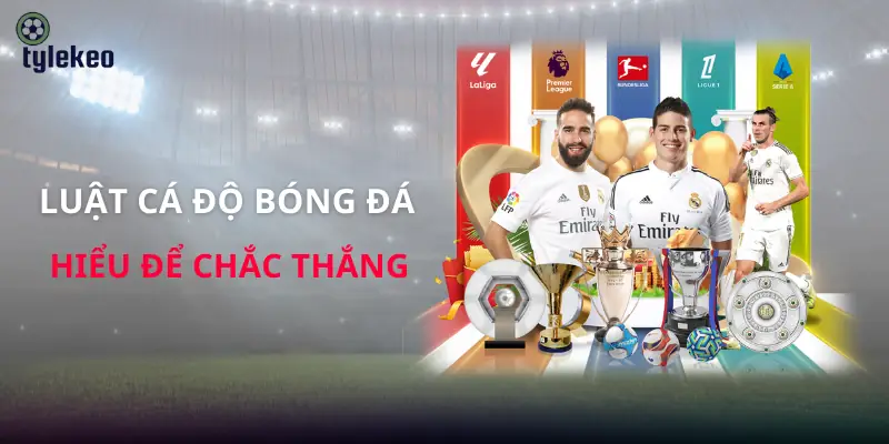 luat-ca-do-bong-da